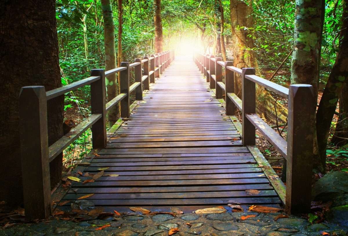 Past Life Regression Virtual Distance Online Zoom Workshop Readings History Training Self Hypnosis Reincarnation Karmaa Kevin Foresman Enlumnia Dallas TX